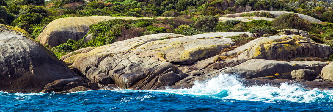 Montague Island Narooma NSW