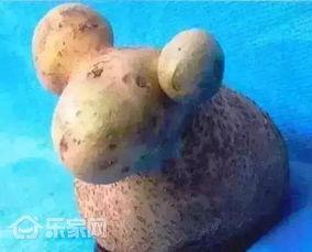小羊爆料步骤视频,轻松掌握视频制作步骤