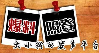 兰州新闻爆料平台有哪些,聚焦城市脉搏，共筑舆论新阵地